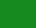 barva AGAMA VD -  19L, zelená lesklá
