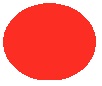 Farba AGAMA reflexná červená