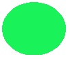 Barva AGAMA reflexní zelená