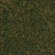 Травяной ковёр - Лесная почва
