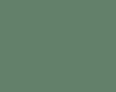 Краска акриловая AGAMA -  C1P, зелёная