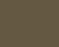 Краска акриловая AGAMA -  C3P, коричневая