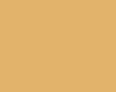 Краска акриловая AGAMA -  J5M, коричневая N17