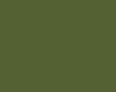 Farba akrylowa AGAMA - N7M, zielona RLM62, matowa