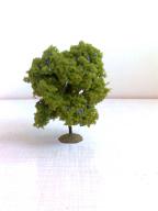 Pflaumenbaum   6 - 8 cm