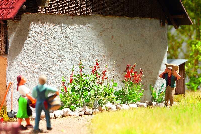 Proskurník topolovka