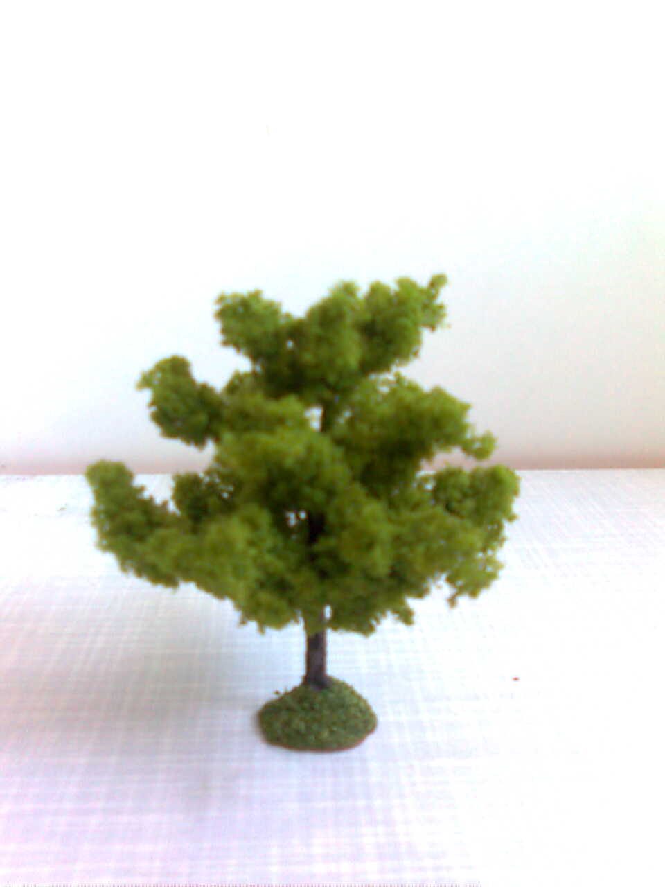 Třešeň    6 - 8 cm