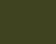 AGAMA Enamel Paint   A55M - Tan Green FS34201, matt