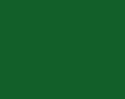 AGAMA Enamel Paint   C63P - Dark Green 5400, semigloss