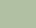 AGAMA Enamel Paint   J14M - Light Grey A-5, matt