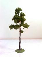 10 - 13 cm  Pine Tree