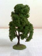 Birnbaum    6 - 8 cm