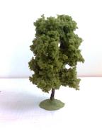Pflaumenbaum  10 - 12 cm