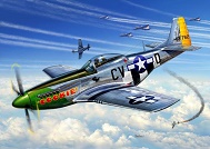 P-51D Mustang - "Model-Set"